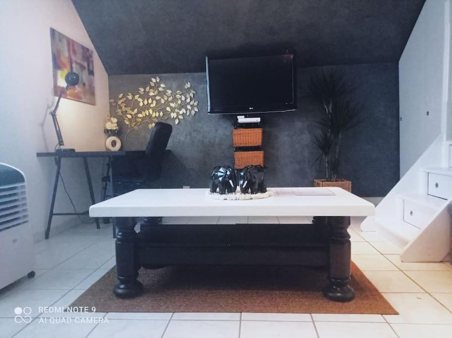 Le Duplex Decontracte Lägenhet Fleury-les-Aubrais Exteriör bild