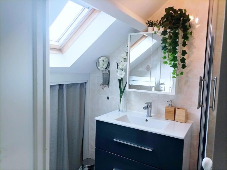 Le Duplex Decontracte Lägenhet Fleury-les-Aubrais Exteriör bild