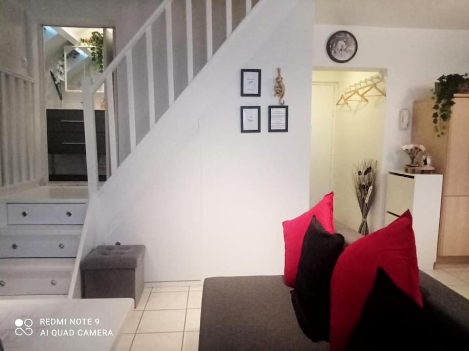 Le Duplex Decontracte Lägenhet Fleury-les-Aubrais Exteriör bild